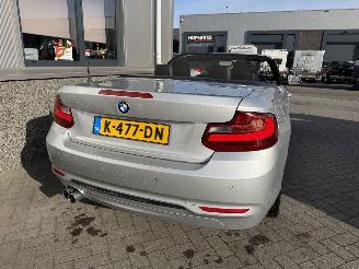 BMW 2-serie 230i Executive Cabrio picture 23