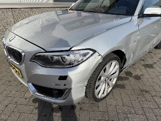 BMW 2-serie 230i Executive Cabrio picture 16