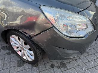 Opel Meriva 1.4 Turbo Cosmo picture 24