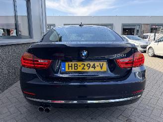 BMW 4-serie 420i Luxury Gran Coupe picture 10
