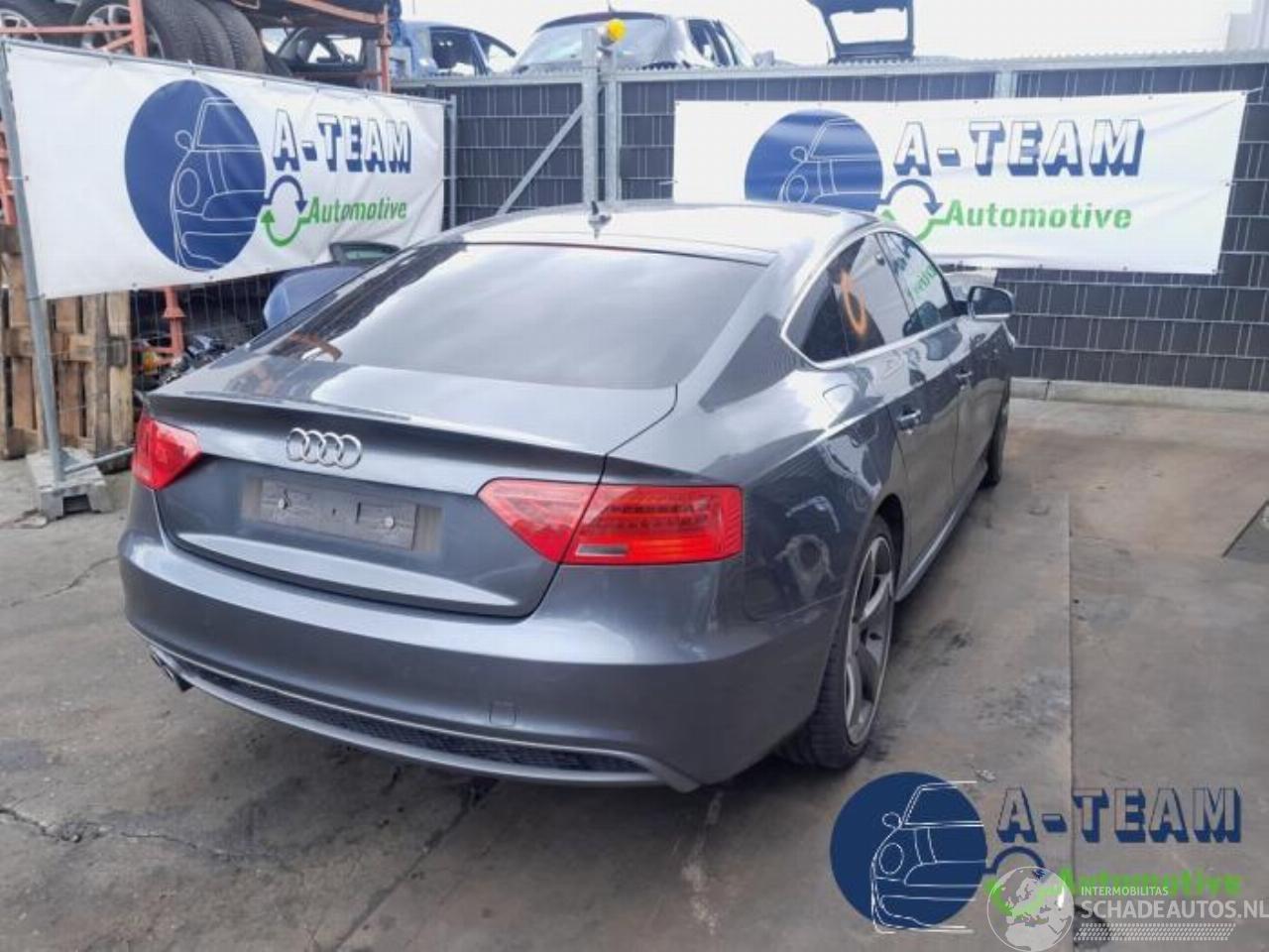 Audi 50 A5 Sportback (8TA), Liftback, 2009 / 2017 2.0 TDI 16V
