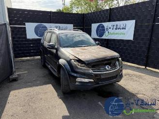 rozbiórka samochody osobowe Ssang yong Rexton Rexton W, SUV, 2012 / 2017 2.2 RX 220 E-XDI 16V 2WD 2017/11