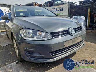 Volkswagen Golf Golf VII Variant (AUVV), Combi, 2013 / 2021 1.6 TDI BlueMotion 16V picture 7