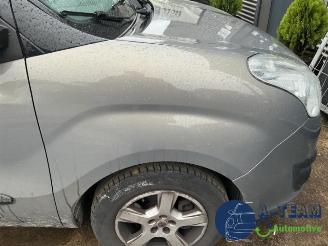 Opel Combo Combo, Van, 2012 / 2018 1.3 CDTI 16V picture 14