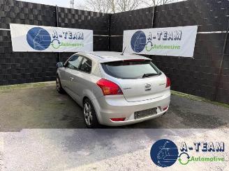 Coche siniestrado Kia Pro cee d Pro cee'd (EDB3), Hatchback 3-drs, 2008 / 2012 1.4 CVVT 16V 2010/1