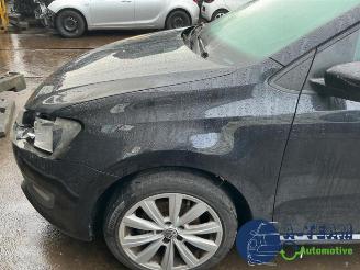 Volkswagen Polo Polo V (6R), Hatchback, 2009 / 2017 1.4 16V picture 13