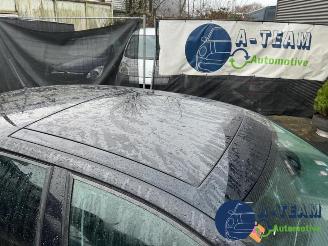 Volkswagen Polo Polo V (6R), Hatchback, 2009 / 2017 1.4 16V picture 27