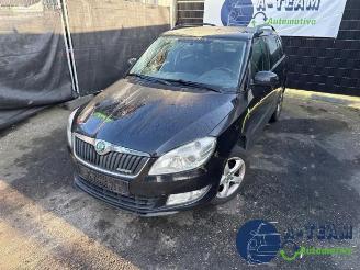 Skoda Fabia Fabia II Combi, Combi 5-drs, 2007 / 2015 1.2 TDI 12V Greenline picture 3