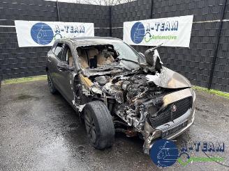 Coche siniestrado Jaguar F-Pace F-Pace, SUV, 2015 / 2025 2.0 D 180 16V AWD 2018/1