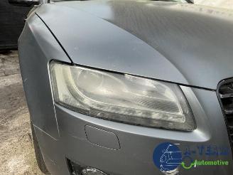 Audi 50 A5 Sportback (8TA), Liftback, 2009 / 2017 2.0 TDI 16V picture 21