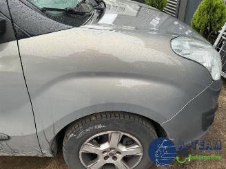 Opel Combo Combo, Van, 2012 / 2018 1.3 CDTI 16V picture 14
