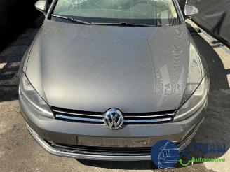 Volkswagen Golf Golf VII (AUA), Hatchback, 2012 / 2021 2.0 TDI 16V picture 5