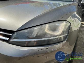 Volkswagen Golf Golf VII (AUA), Hatchback, 2012 / 2021 2.0 TDI 16V picture 9