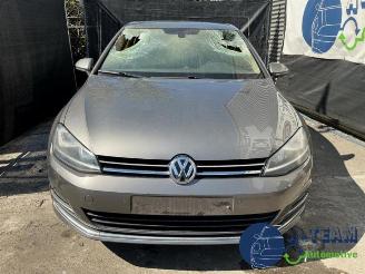 Volkswagen Golf Golf VII (AUA), Hatchback, 2012 / 2021 2.0 TDI 16V picture 4