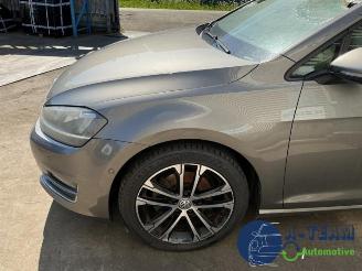 Volkswagen Golf Golf VII (AUA), Hatchback, 2012 / 2021 2.0 TDI 16V picture 7