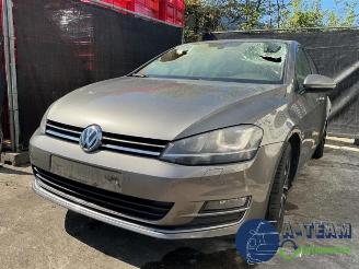 Volkswagen Golf Golf VII (AUA), Hatchback, 2012 / 2021 2.0 TDI 16V picture 4