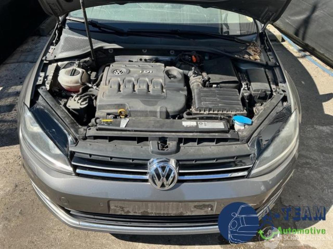 Volkswagen Golf Golf VII (AUA), Hatchback, 2012 / 2021 2.0 TDI 16V