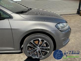 Volkswagen Golf Golf VII (AUA), Hatchback, 2012 / 2021 2.0 TDI 16V picture 8