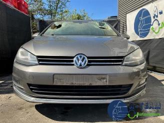 Volkswagen Golf Golf VII (AUA), Hatchback, 2012 / 2021 2.0 TDI 16V picture 6