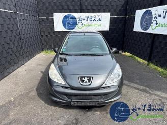Peugeot 206 206+ (2L/M), Hatchback, 2009 / 2013 1.1 XR,XS picture 2