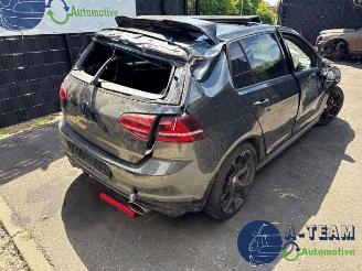 Volkswagen Golf Golf VII (AUA), Hatchback, 2012 / 2021 2.0 GTI 16V Performance Package picture 8