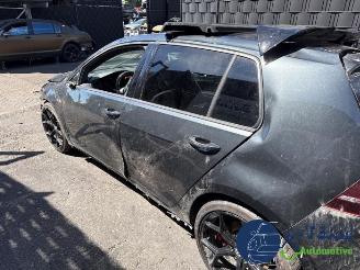 Volkswagen Golf Golf VII (AUA), Hatchback, 2012 / 2021 2.0 GTI 16V Performance Package picture 5