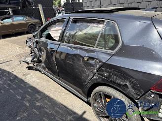 Volkswagen Golf Golf VIII (CD1), Hatchback, 2019 2.0 GTI 16V picture 5