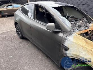 Tesla Model Y Model Y (5YJY), SUV, 2019 / 2025 Long Range,Performance picture 5