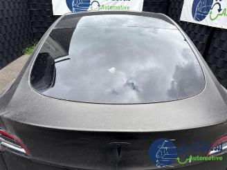 Tesla Model Y Model Y (5YJY), SUV, 2019 / 2025 Long Range,Performance picture 25