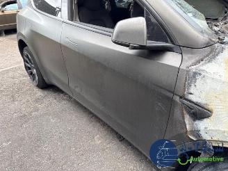 Tesla Model Y Model Y (5YJY), SUV, 2019 / 2025 Long Range,Performance picture 13