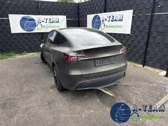 Vrakbiler auto Tesla Model Y Model Y (5YJY), SUV, 2019 / 2025 Long Range,Performance 2023/8