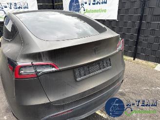 Tesla Model Y Model Y (5YJY), SUV, 2019 / 2025 Long Range,Performance picture 24