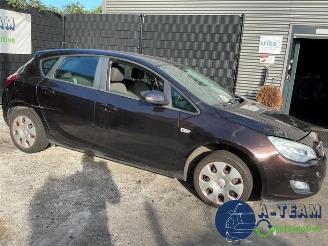 Opel Astra Astra J (PC6/PD6/PE6/PF6), Hatchback 5-drs, 2009 / 2015 1.4 16V ecoFLEX picture 7
