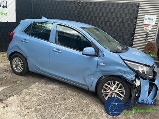 Kia Picanto Picanto (JA), Hatchback, 2017 1.0 DPi 12V picture 7