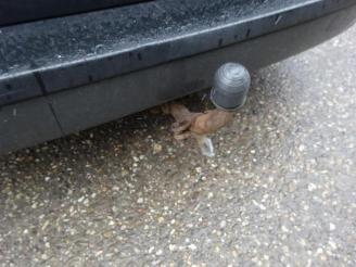 Peugeot 308 308 SW (4E/H), Combi 5-drs, 2007 / 2014 1.6 HDi 16V picture 11