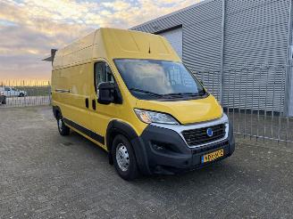Gebrauchtwagen Van Fiat E-Ducato  2019/11