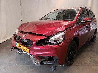 Coche accidentado BMW 2-serie 2 serie Gran Tourer (F46) MPV 216d 1.5 TwinPower Turbo 12V (B37-C15A) =
[85kW]  (03-2015/...) 2016/1