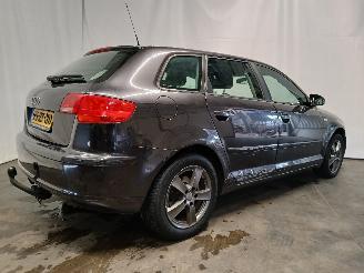 Audi A3 A3 Sportback (8PA) Hatchback 5-drs 1.6 (BGU) [75kW]  (09-2004/03-2013)= picture 6