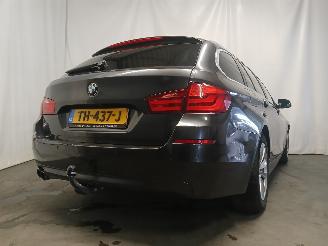 BMW 5-serie 5 serie Touring (F11) Combi 520d 16V (N47-D20C) [120kW]  (06-2010/02-2=
017) picture 5