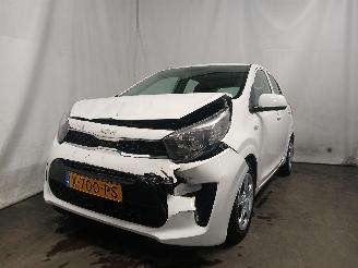 skadebil auto Kia Picanto Picanto (JA) Hatchback 1.0 DPI 12V (G3LD) [46kW]  (05-2024/...) 2024/1