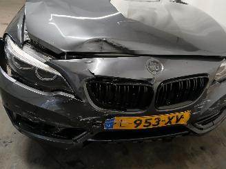 BMW 2-serie 2 serie (F22) Coupé 218i 1.5 TwinPower Turbo 12V (B38-B15A) [100kW] =
 (03-2015/06-2021) picture 27