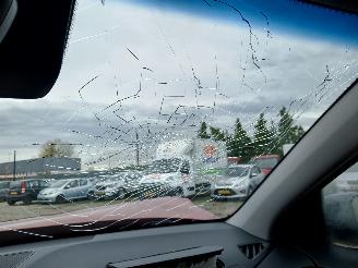 Hyundai Kona Kona (OS) SUV 1.6 GDi HEV 16V (G4LE) [104kW]  (06-2019/04-2023) picture 21