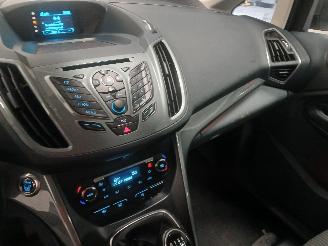 Ford Grand C-Max Grand C-Max (DXA) MPV 1.0 Ti-VCT EcoBoost 12V 125 (M1DA(Euro 5)) [92kW=
]  (10-2012/06-2019) picture 15