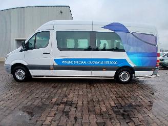 Mercedes Sprinter Sprinter 3,5t (906.73) Bus 311 CDI 16V (OM646.985) [80kW]  (06-2006/12=
-2009) picture 3