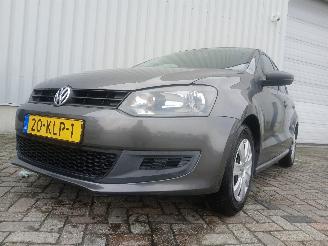 Schadeauto Volkswagen Polo Polo V (6R) Hatchback 1.2 12V (CGPB(Euro 5)) [44kW]  (06-2009/05-2014)= 2010/1