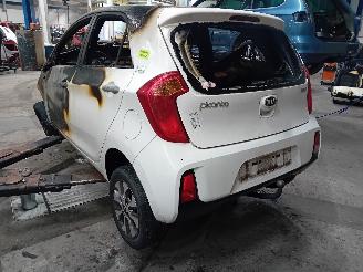 Kia Picanto Picanto (TA) Hatchback 1.0 12V (G3LA) [49kW]  (05-2011/06-2017) picture 4