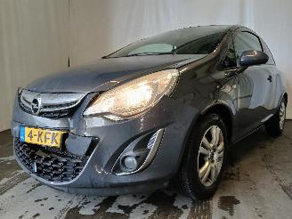 škoda osobní automobily Opel Corsa Corsa D Hatchback 1.2 16V (A12XER(Euro 5)) [63kW]  (12-2009/08-2014) 2013/3