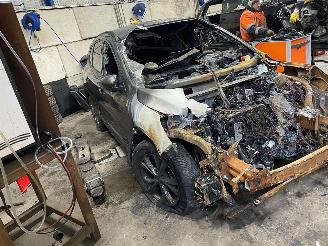 Ford Kuga Kuga III (DFK) SUV 2.5 PHEV 16V (BGDA) [165kW]  (07-2019/...) picture 2