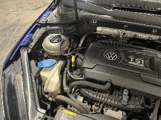 Volkswagen Golf Golf VII Variant (AUVV) Combi 2.0 R 4Motion 16V (CJXC) [221kW]  (03-20=
15/08-2020) picture 30