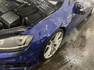 Volkswagen Golf Golf VII Variant (AUVV) Combi 2.0 R 4Motion 16V (CJXC) [221kW]  (03-20=
15/08-2020) picture 33